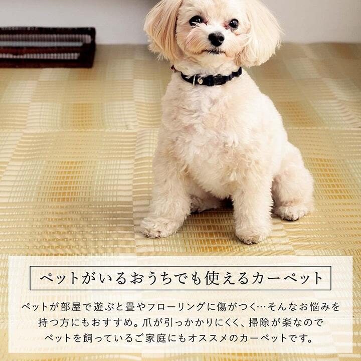 ラグ カーペット 洗える ござ 日本製 国産 丈夫 除菌スプレー対応 敷詰 敷物 アウトドア レジャー ペット 江戸間4.5畳（約261×261cm）