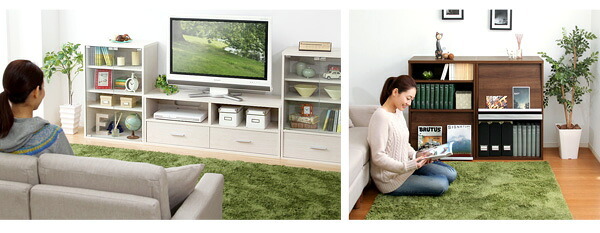収納家具 ラック DEALS-ディールズ- フラップ扉3枚タイプ DS60-F3--WAL ウォールナット ホームテイスト ディスプレイ シリーズ 本棚 ブック フラップ フラップチェスト