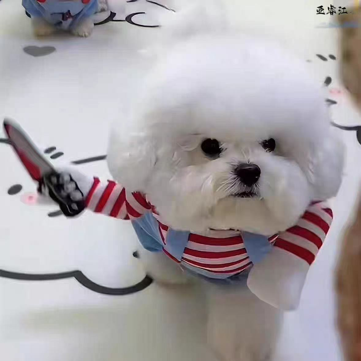 犬服 ハロウィン コスプレ 犬用 コスチューム ホラー チャッキー風 仮装 衣装 ナイフ付き かわいい おもしろ ペット服 小型犬 中型犬 柴犬 トイプードル ビションフリーゼ 写真撮影 SNS映え パーティー XS S M L XL