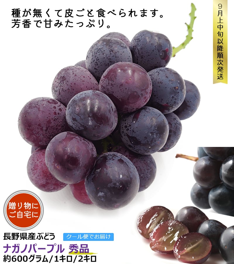 長野県産 ぶどう ナガノパープル 秀品 贈答用 果物 フルーツ お取り寄せ 産地直送 【送料無料(一部地域除く)】