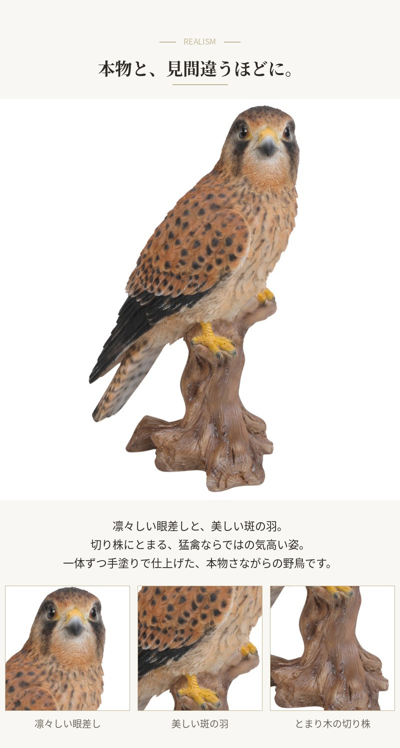 置物 鳥 チョウゲンボウ 高さ21.5cm woobia ウービア 野鳥 リアル おしゃれ 玄関 インテリア オブジェ ガーデン 北欧 ナチュラル 猛禽 動物 アニマル 癒し 鳥好き 出窓 棚 玄関飾り プレゼント ギフト バードウォッチング