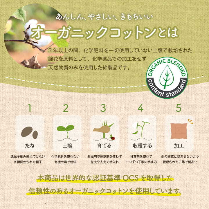 チェア 椅子 クッション シート 日本製 オーガニックコットン 綿100% ボーダー 洗える 約43×43cm