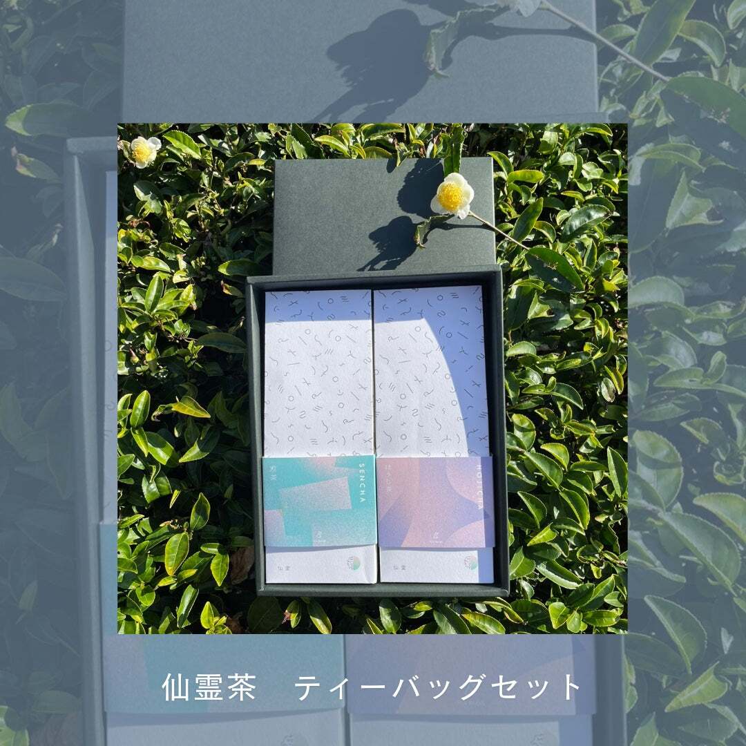 【自然栽培のお茶】ティーバッグ2種セット：煎茶・ほうじ茶・紅茶から選べます【送料無料(一部地域除く)】