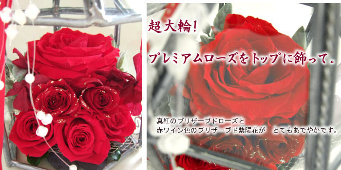 【最後の1点】【大輪バラ】 特別な御祝いに。ガラスの鳥かご『喝采』　真紅の超大輪バラ等プリザーブドローズ6輪を飾って！送料無料 芦屋ゴージャスなガラスのギフトアレンジ