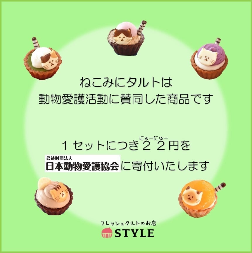 【ハロウィン限定】ねこみにタルトセット 9個入