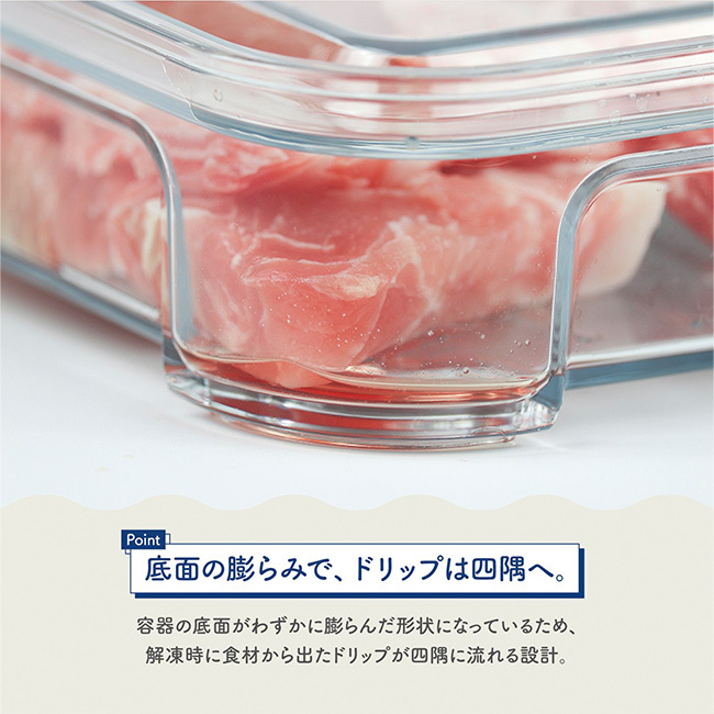 TAKEYA タケヤ FREEZE STOCK フリーズストック S《2個セット》[保存容器 フードコンテナ 冷凍 クリア 透明 日本製 タケヤ フードストッカー オシャレ 保存 容器 中身が見える 小分け 冷凍容器 プラスチック ケース 薄型 浅型 食品保存 小型]