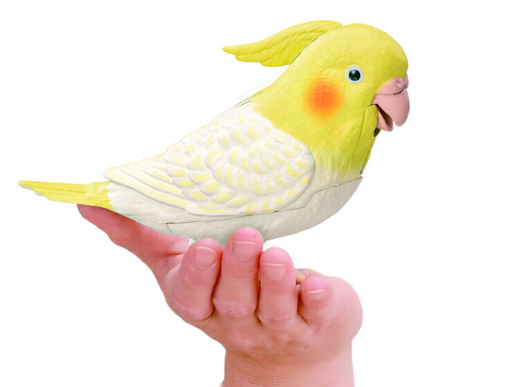 【送料無料・包装無料】タカラトミーアーツ もっとおしゃべり天才オカメインコちゃん / ギフト 父の日 母の日 敬老の日 シニアプレゼント 幼児玩具 おもちゃ 保育園 幼稚園 幼児おもちゃ 動物おもちゃ 動物玩具 男の子 女の子 セキセイインコ バーチャルペット 高齢者 音声認識 クリスマス クリスマスプレゼント インコの日