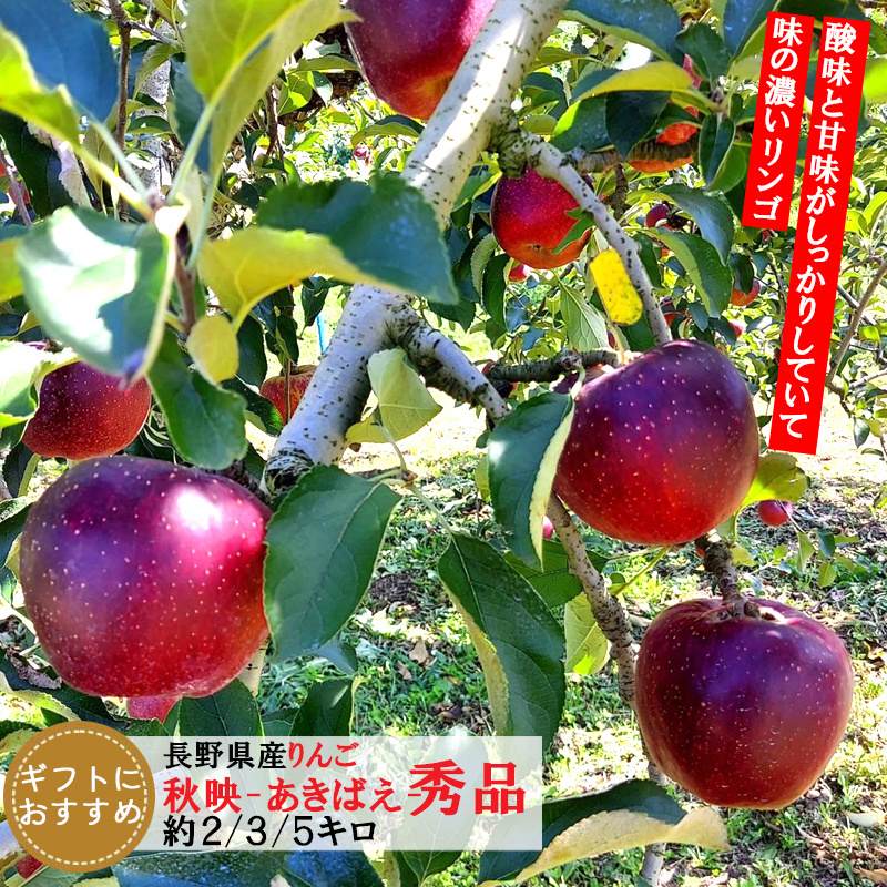【予約】長野県産りんご 秋映 秀品 ご贈答 果物 フルーツ お取り寄せ 産地直送 【送料無料(一部地域除く)】