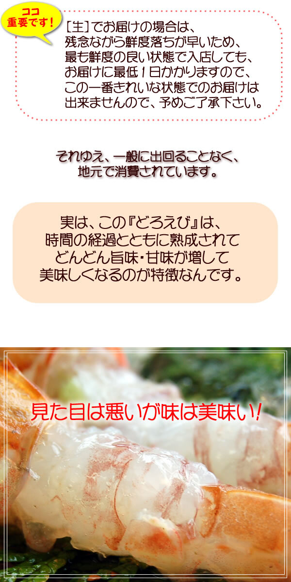 山陰の地エビ「ガラエビ/ドロエビ」（船内冷凍）中サイズ  500ｇ以上　 送料無料 ※北海道、東北、沖縄は送料別途加算