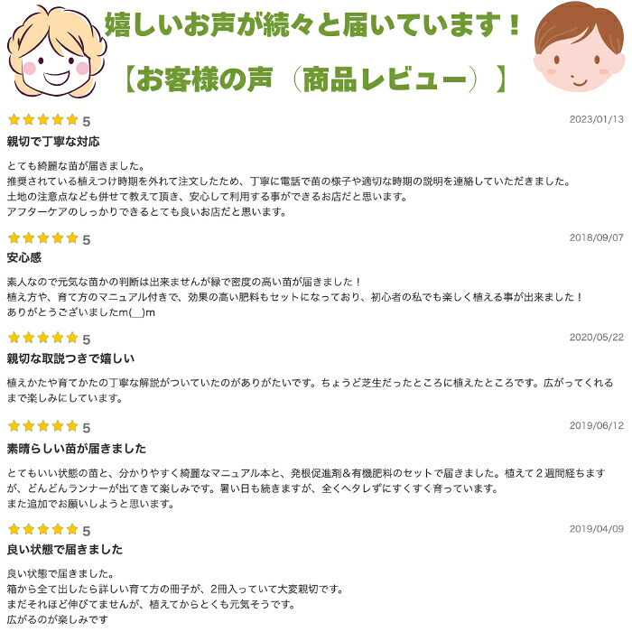 クラピア K5 薄桃品種 10株 すくすくセット 植栽マニュアル付き 苗10ポット 肥料活力剤2種付き イワダレソウ改良種 グランドカバー 植物 プランツ 薄ピンクの花 庭 屋上 緑化 K7と同程度の耐寒性 多年草 地被植物 ほふく性 下草 背が低い 宿根草