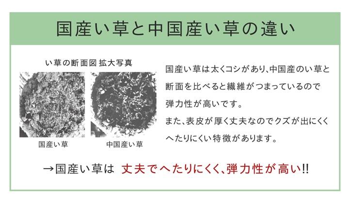 夏ラグ 夏用カーペット い草ラグ おしゃれ 国産 カーペット 『Fウォール』 約140×200cｍ