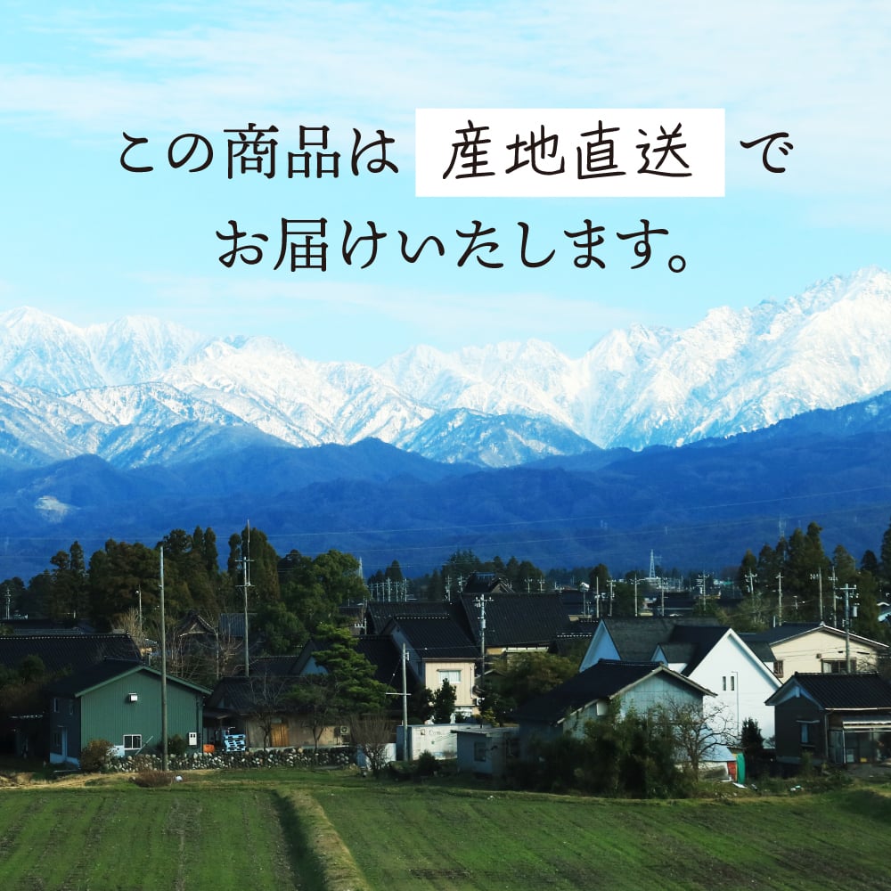 ブランデーケーキ 1本/2本 大久保製菓舗 飛騨古川 ギフト 飛騨高山 焼き菓子 熨斗対応 スイーツ プレゼント ブランデー びしょびしょ 濃厚 濃厚な お持たせ お取り寄せ お供え 敬老の日 手土産 帰省手土産 送料無料 母の日