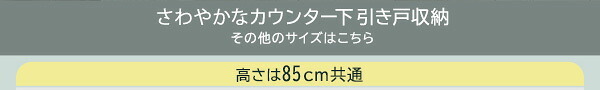 食器棚 キッチン収納 さわやかなカウンター下引き戸収納6020 FKSS-6020--WHW ホワイトウォッシュ 幅60cm・奥行20cm ホームテイスト カウンター下 引き戸 薄型 幅60cm 奥行20cm キッチン 収納 スリム 薄型収納 台所：