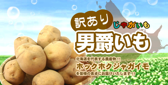 じゃがいも 訳あり北海道 じゃがいも 男爵いも S-Mサイズ 9.5-10kg前後 送料無料 ※沖縄は送料別途加算