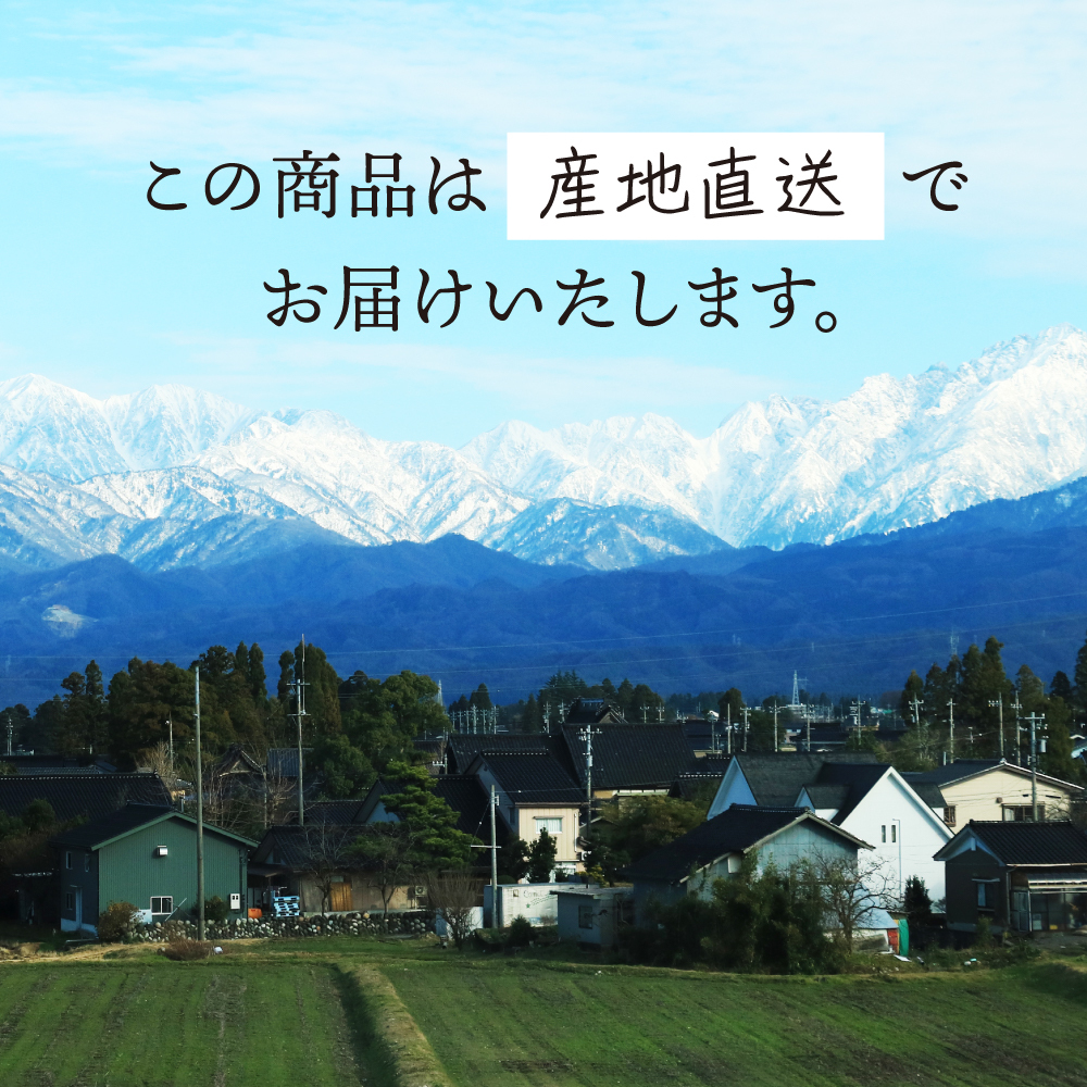 べろべろれもん酒 720ml 平田酒造場 果実酒 お酒 レモン あらごし 果肉 粒々 リキュール 檸檬 れもん 酒 贈り物 おしゃれ かわいい 地酒 リキュール プレゼント 飛騨高山 送料無料 ギフト 夏ギフト 敬老の日 お取り寄せ 内祝い 産地直送 岐阜 ぎふまる