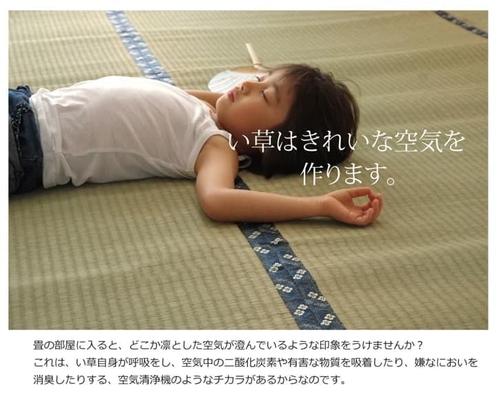 夏ラグ 夏用カーペット 純国産 い草 上敷き カーペット 糸引織 『梅花』 本間2畳(約191×191cm）