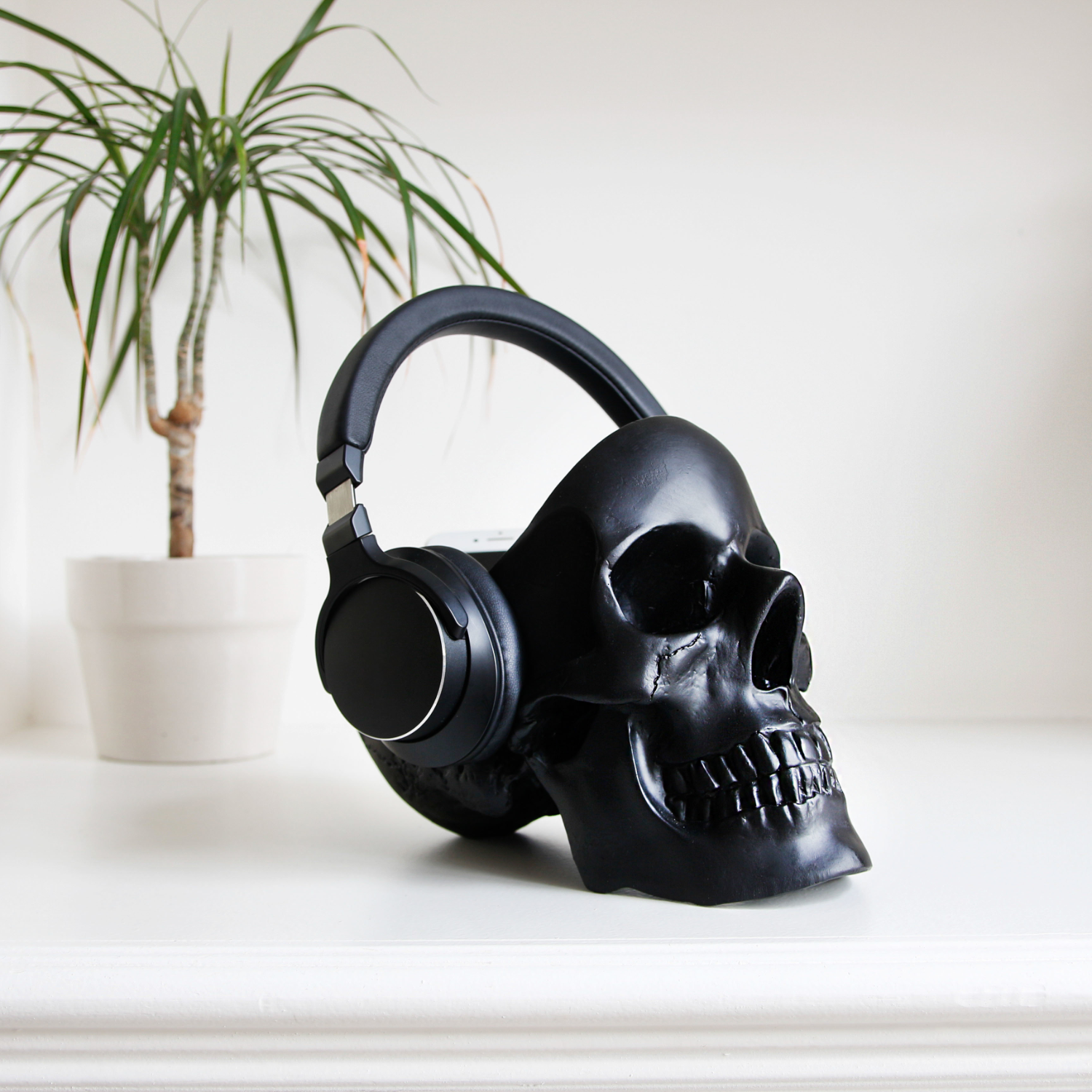 SUCK UK スカルスタッフ タイディ（海外インテリア 小物入れガイコツ ハロウィン）「Skull Stuff Tidy」イギリス サックユーケー  ◇