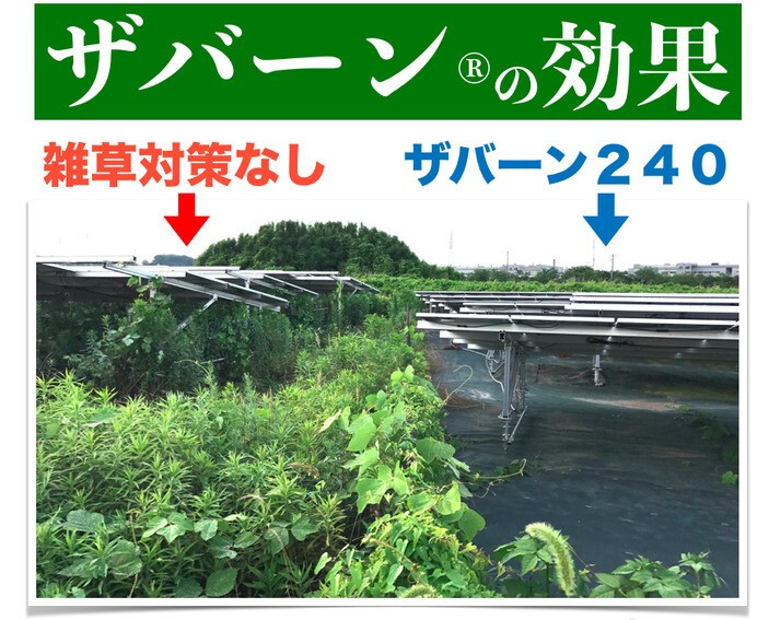 ザバーン 136G 標準防草シート 1m×50m +敷設用J字型ピン250本 50平米分 品番 XA-136G1.0 厚み0.4mm 耐用年数 砂利下：半永久 曝露：約3～5年　砂利下 人工芝下におすすめ 高耐久 テープ 別売り 雑草対策 除草コスト削減 デュポン社製