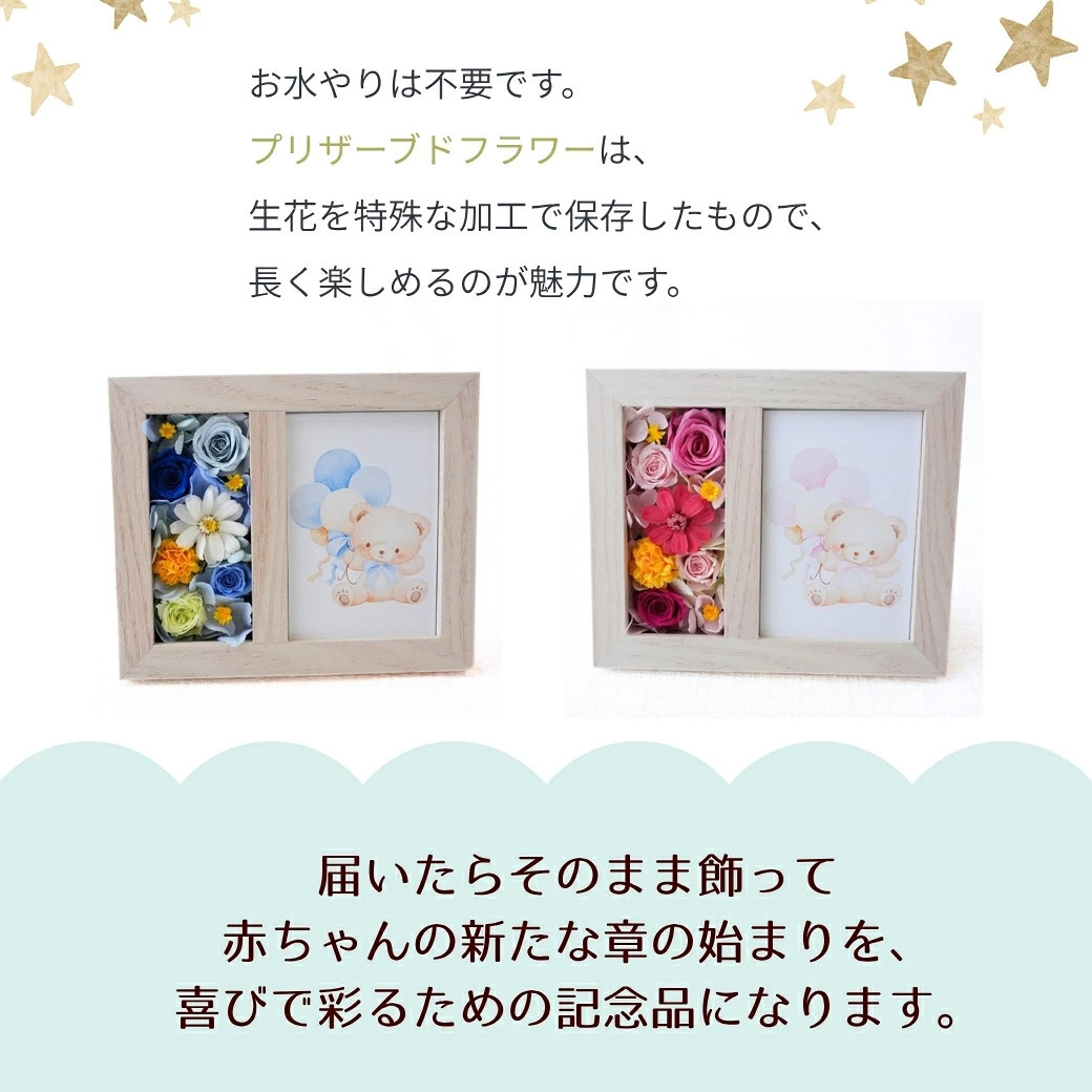 プリザーブドフラワー 【ジェンダーリビールフラワー02】　ジェンダーリビールとは、赤ちゃんの性別を 旦那さんや家族、友人にお披露目するイベントのことです。性別発表 花 フラワー 妊娠 サプライズ 男の子 女の子 帰省 妊娠報告 可愛い かわいい ホワイトデー イベント 性別 敬老の日