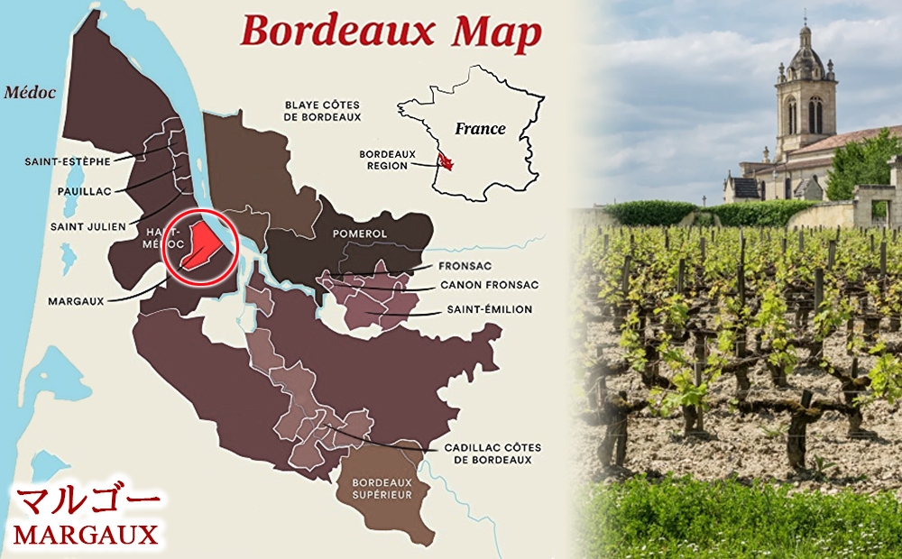 ワインギフト フランス ボルドーワイン BORDEAUX 赤ワイン マルゴー 2019年 辛口  750ml カベルネ・ソーヴィニヨン メルロー プレゼント 誕生日 結婚祝い お返し 内祝い のし対応 熨斗 送料無料