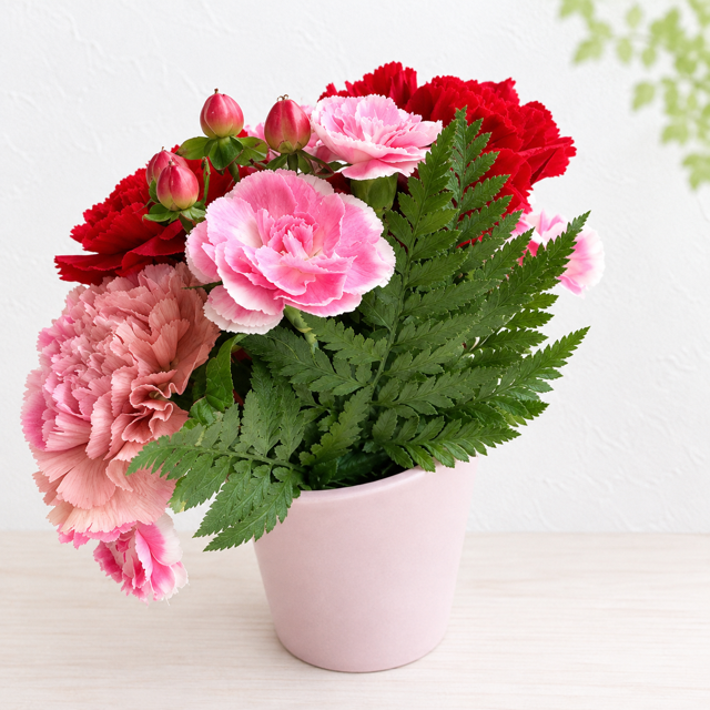ご希望の色合いで選べる フラワータンブラーアレンジ 高さ23cm 生花 アレンジメント 花ギフト フラワーギフト お祝い 誕生日 記念日 お供え お悔やみ そのまま飾れる 手作り 鮮度重視 送料無料【北海道・沖縄・九州・四国・中国・離島は配送不可】