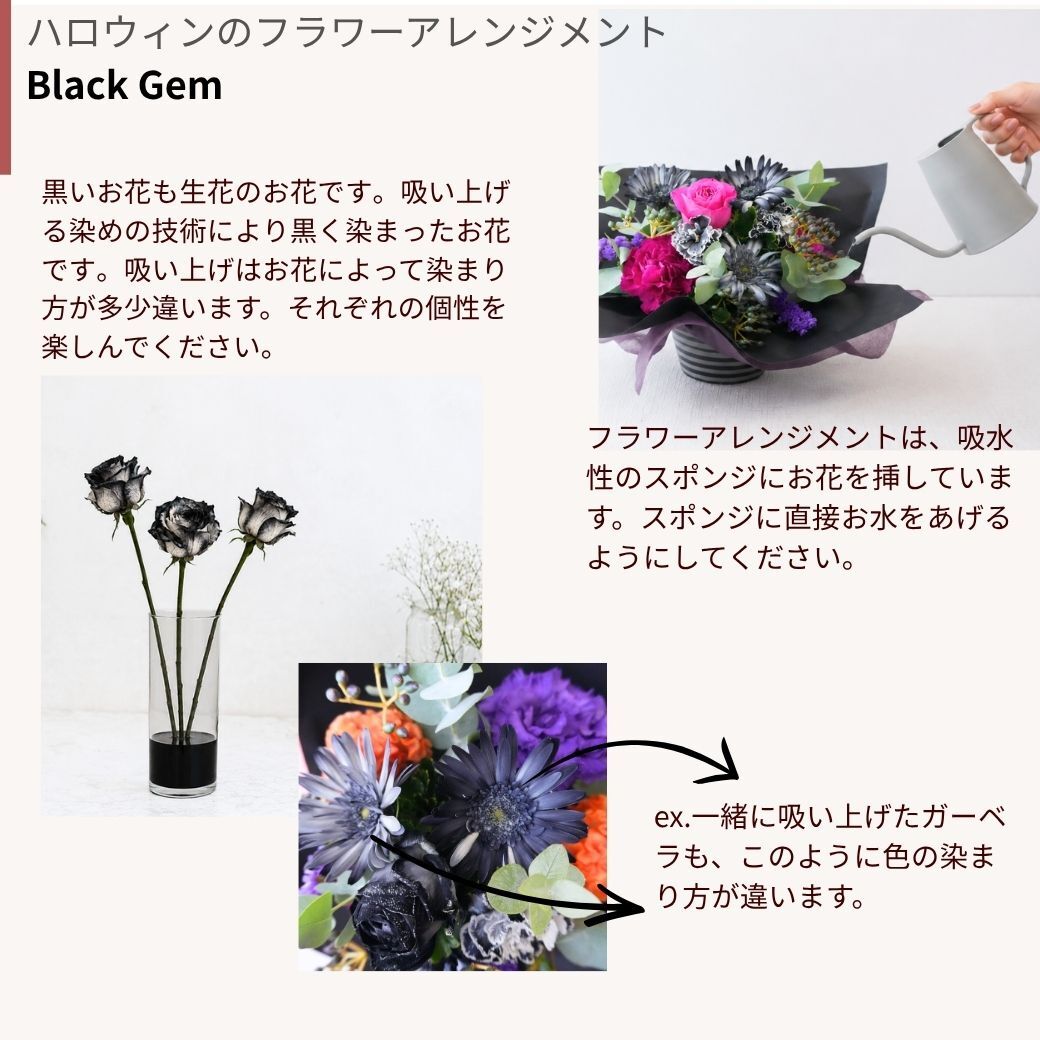 【BlackGemハロウィンのフラワーアレンジメント】 即日発送　レビューを書いて送料無料　生花 アレンジ 誕生日に 色を選んで 花はおまかせ ワンサイドタイプ 生花 アレンジメント プレゼント 誕生日 結婚祝い 記念日 お見舞 送別 新築祝い 敬老の日 ウエディング  御祝 出産 ホワイトデー  お歳暮