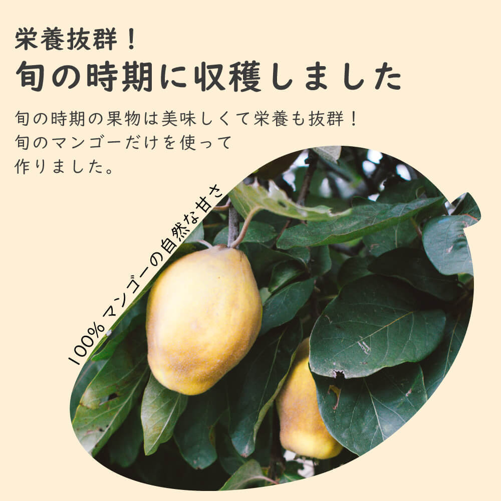 【砂糖不使用】小動物用フリーズドライマンゴー 20g 40g 60g 1袋あたり約35枚入り スライス ウサギ ハムスター モルモット インコ リス チンチラ ハリネズミ モモンガ おやつ 人も食べれる 完全無添加 砂糖ゼロ フルーツ 乾燥 果物 ペット 動物 中国産 送料無料