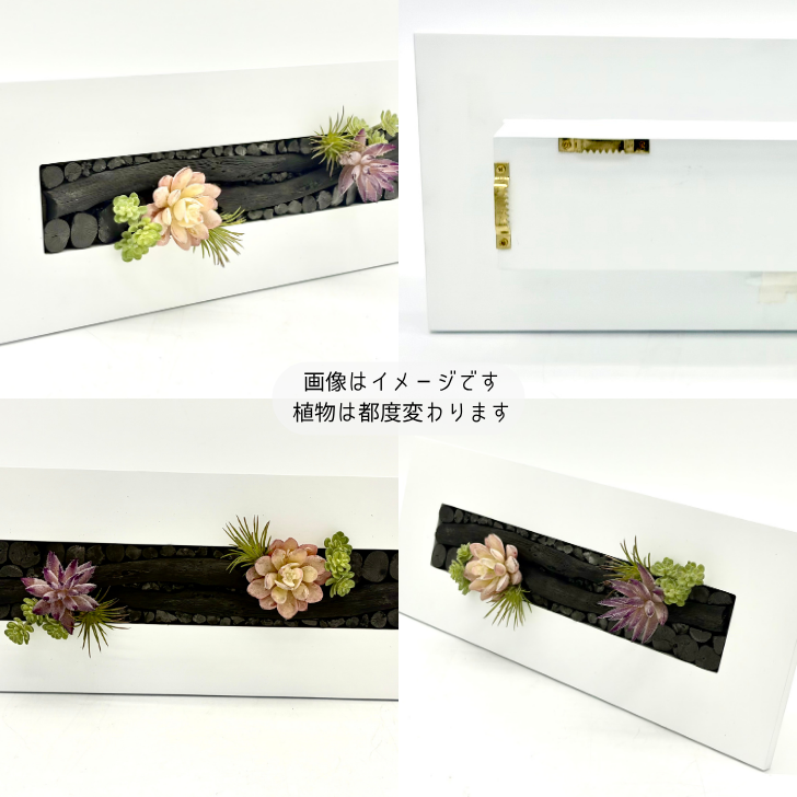 【送料無料】サウススカイ 紀州備長炭 炭双華 白 多肉植物 インテリア フレーム おしゃれ 和風 和室 和モダン 玄関 置物 飾り オブジェ 消臭 脱臭 除湿 風水 上品 センスいい かっこいい 可愛い 華やか 飲食店 旅館 オフィス 応接室 新築祝 開店祝 誕生日 プレゼント ギフト