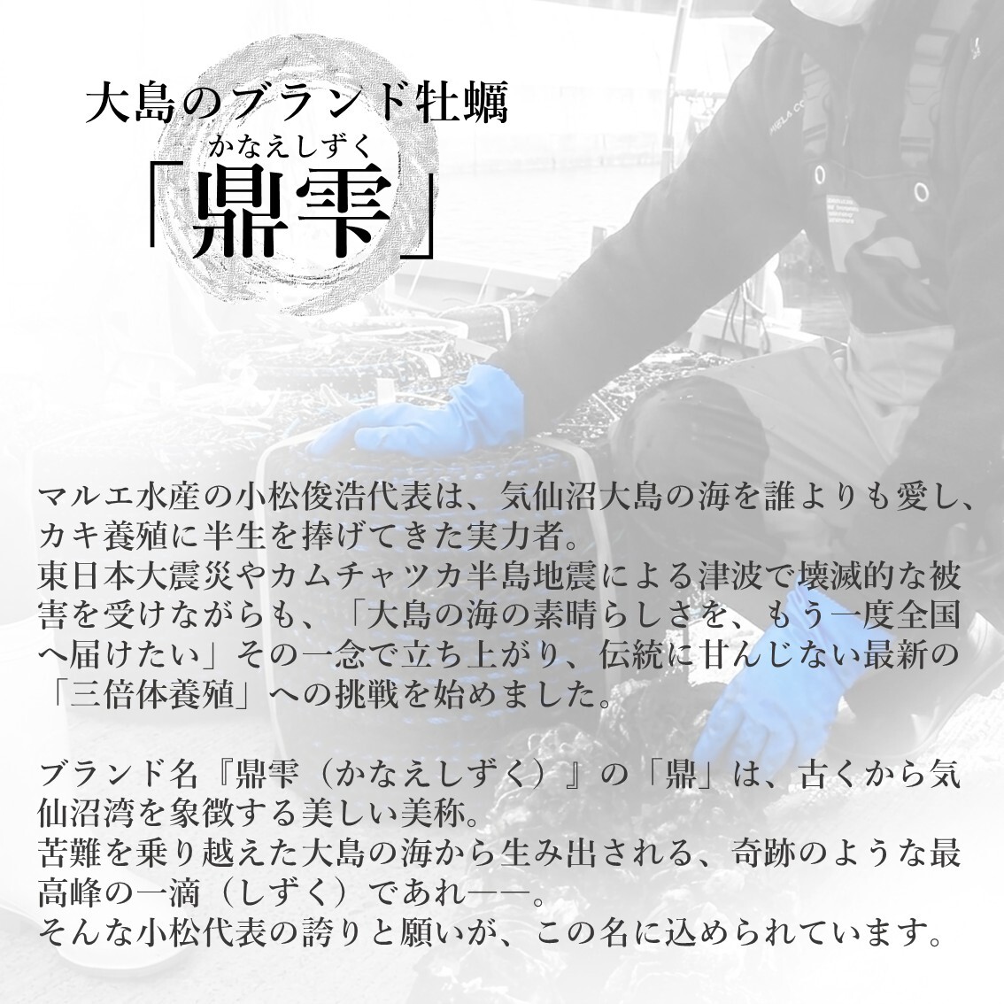 【生食用】 牡蠣 殻付き 1kg（9〜11個） 気仙沼大島産 三倍体 真牡蠣 鼎雫 かなえしずく ブランド牡蠣 送料無料 生カキ ギフト 贈答