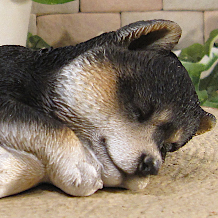 柴犬　置物 リアル　黒柴　お昼寝中　いぬ　動物オブジェ　ガーデン　オーナメント　店舗　カウンター　装飾　オブジェ　インテリア　玄関先　庭　犬好きさん人気ギフト　動物人気ギフト　クリスマスプレゼント　お誕生日祝い　母の日人気　父の日人気　敬老の日人気