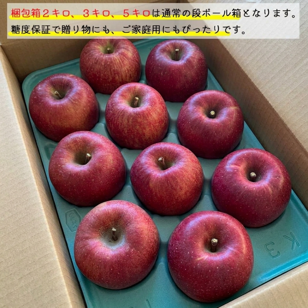 【糖度光センサー選別】長野県産りんご サンふじ プレミアム ギフト 約3キロ 約5キロ 贈答用 お歳暮 長野県産 信州産 果物 林檎 フルーツ 贈答 お取り寄せ 産地直送 母の日 父の日 敬老の日 還暦祝い お中元 お歳暮 お祝い ギフト 贈り物 グルメプレゼント 冬ギフト クリスマスプレゼント フルーツ 無添加【送料無料(一部地域除く)】
