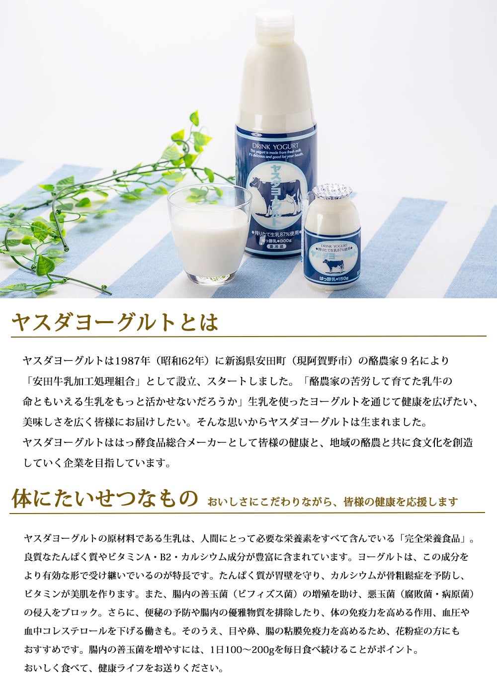 ヤスダヨーグルト ギフトセット 10点 セット 乳製品  飲むヨーグルト ドリンクヨーグルト ブルーベリー 越後姫 バナナ プレーン 新潟県産生乳 お歳暮 内祝い 贈り物 ギフト プレゼント お祝い お熨斗 化粧箱入り 季節の味わいを楽しむ贅沢なギフト 送料無料