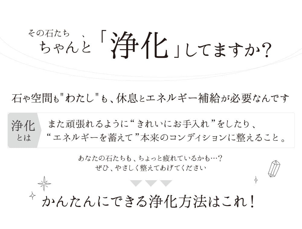 パワーストーン 簡単 浄化セット 入れ 置き皿 浄化皿 パールシェル 選べる6種のさざれ イケチョウ貝 器 浄化 グッズ 2点セット ブレスレット ピアス ネックレス の浄化用 天然水晶 空間浄化セット 玄関用 部屋用 置物 厄払い 女性 男性 厄年 プレゼント