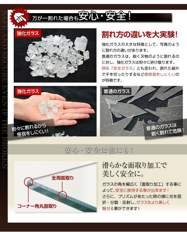 収納家具 ラック コレクション 本体+上置きセット 浅型ハイタイプ 奥行き19cm コレクションケース 壁面収納 ディスプレイケース フィギュア フィギュアケース 魅せて収納 ミニカー 人形 ガシャポン オマケの玩具 プラモデル SET