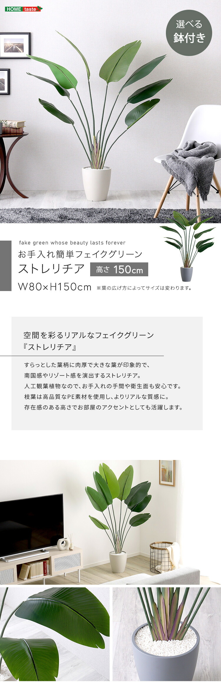 お手入れ簡単 フェイクグリーン ストレリチア Mサイズ(150cm) 新築祝い 開店祝い