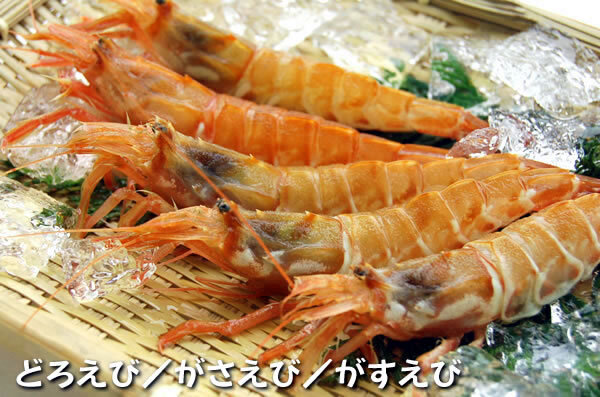 山陰の地エビ「ガラエビ/ドロエビ」（船内冷凍）中サイズ  500ｇ以上　 送料無料 ※北海道、東北、沖縄は送料別途加算