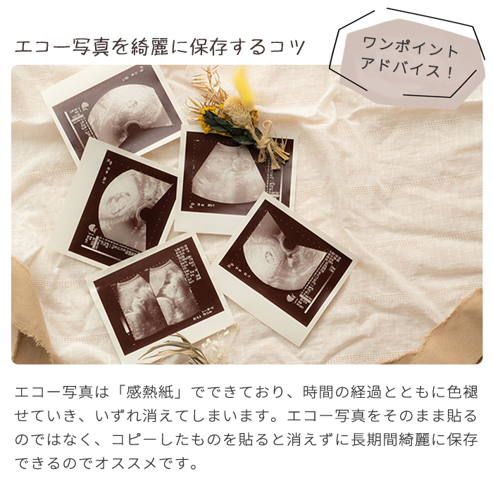 くまのがっこう アルバムしかけ絵本 「たんじょうものがたり」 | エコー写真 保存 エコーアルバム フォトアルバム マタニティアルバム 写真 おたんじょうきろく 赤ちゃん ベビ