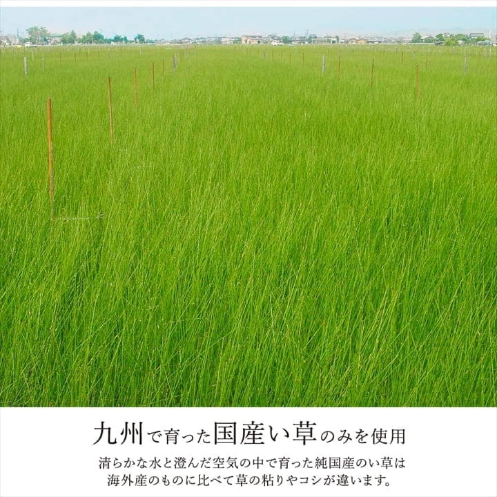 置き畳 ユニット畳 システム畳 国産 日本製 ナチュラルスタイル い草 消臭 抗菌防臭 市松 約82×82×2.3cm 2P 同色2枚組