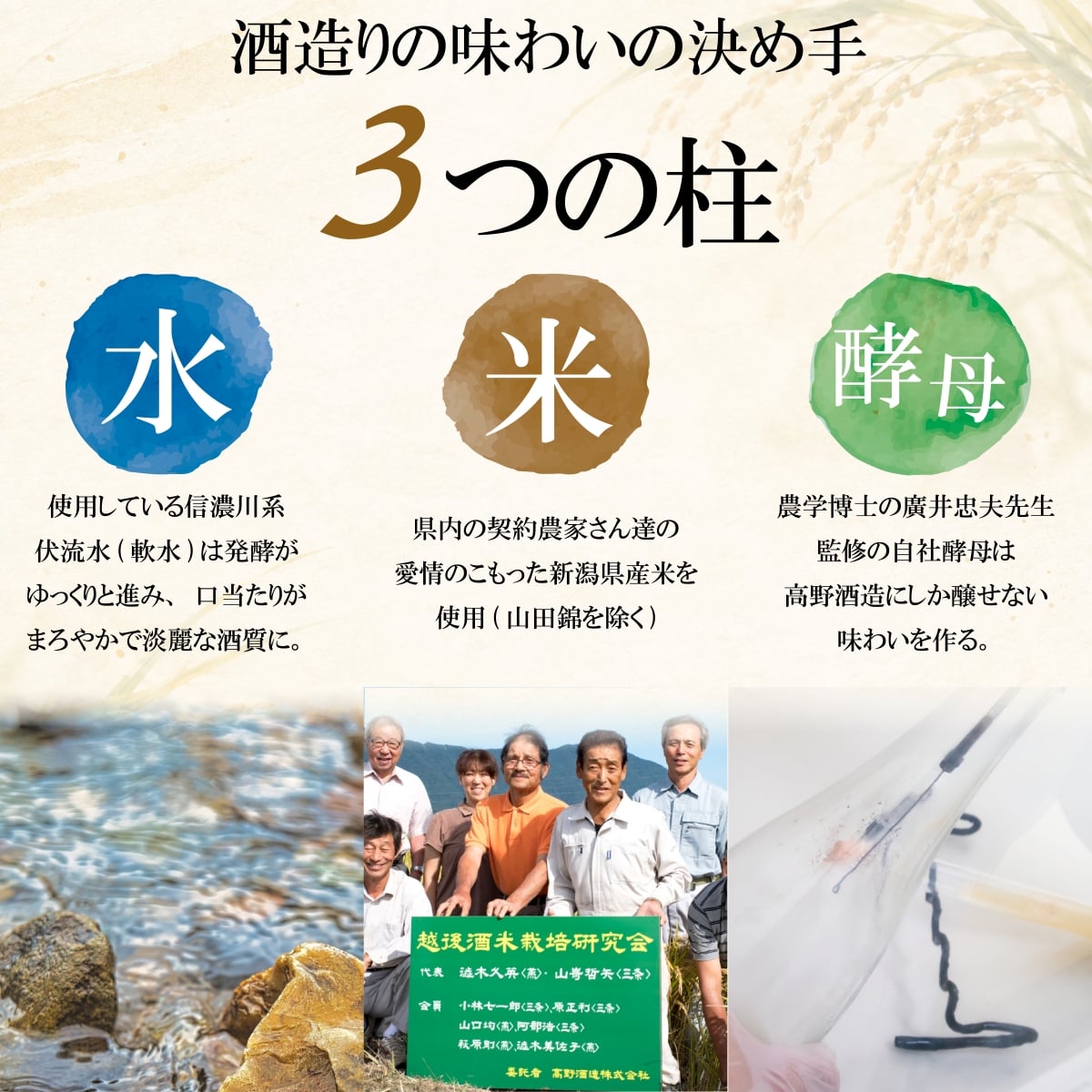 名入れ オリジナルラベル 日本酒 純米酒 300ml カートン入 (高野酒造 新潟県) 【大量注文可】【名入れ 名前入り 名入り ロゴ ギフト プレゼント 日本酒 お酒 地酒 辛口 ミニ おしゃれ 誕生日 退職祝い 昇進祝い 周年記念 成人祝い お祝い 内祝い お返し お礼 結婚 出産 命名 還暦 古希 喜寿 傘寿 米寿 二十歳 開店 新築 祝い 引き出物 記念品】