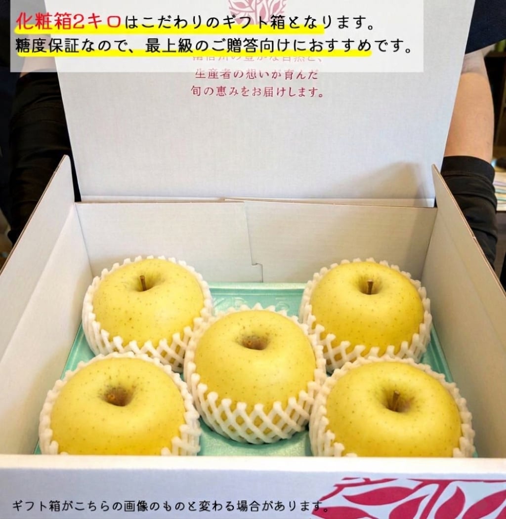 糖度12度保証 長野県産りんご シナノゴールド プレミアム ご贈答 果物 フルーツ お取り寄せ 産地直送 【送料無料(一部地域除く)】