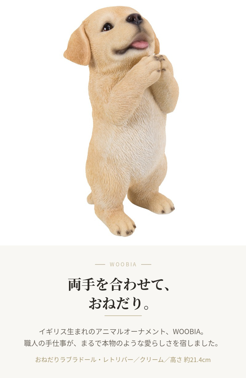 置物 犬 おねだりラブラドールレトリバー 高さ21.4cm woobia ウービア いぬ リアル かわいい おしゃれ 玄関 インテリア オブジェ ガーデン ラブラドール 動物 癒し 棚 北欧 プレゼント ギフト 新築祝い 犬好き