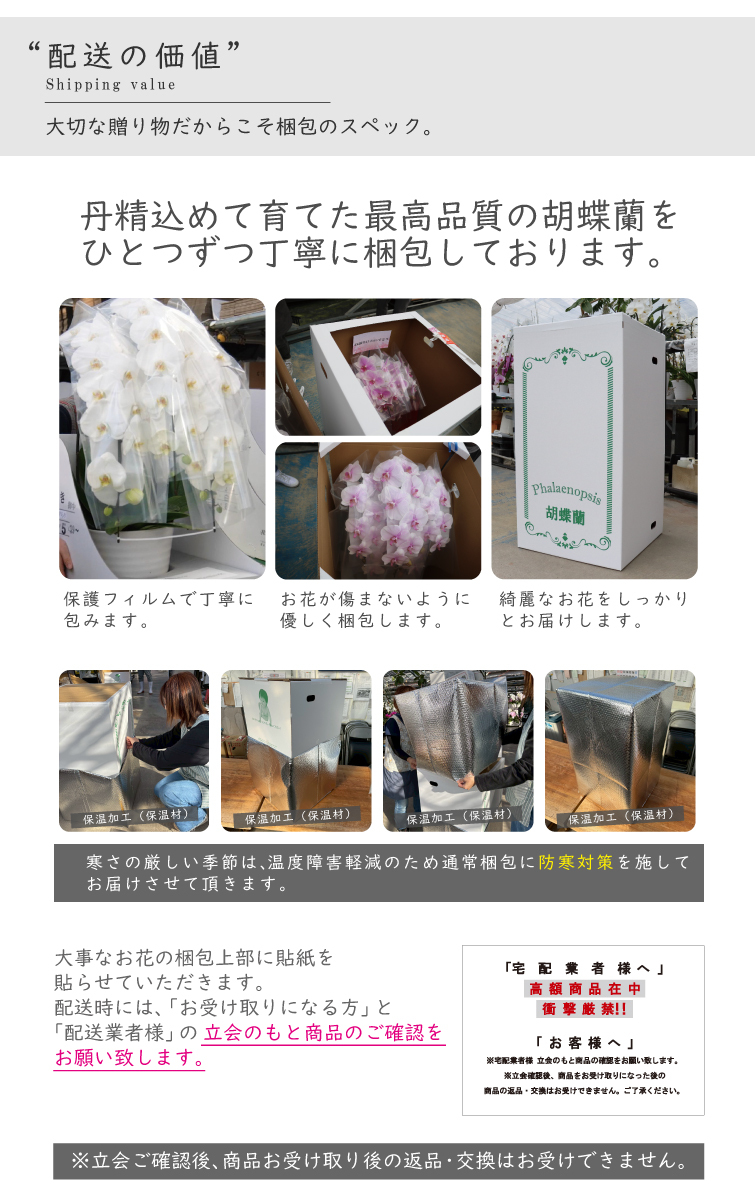 希少 純国産 胡蝶蘭 花持ち長い 大輪 3本立ち 33輪～ 23,800円【煌華(きらか)】 黄色 画像配信あり 産地直送 お祝い 母の日ギフト 縁起良い 商売繁盛 長寿祝 開店祝 開業祝 移転祝 就任祝 昇進祝 当選祝 当日発送 日本橋 銀座 王立園芸協会登録商品