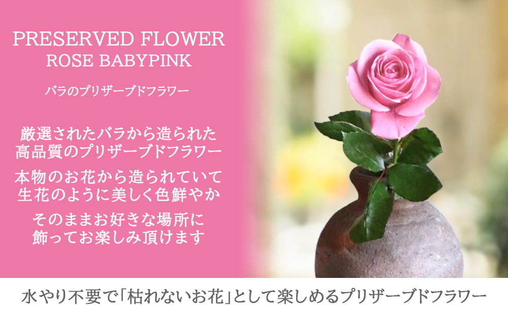 ワインとお花 ギフトセット イタリア スパークリングワイン 辛口 375ml ハーフボトル プリザーブドフラワー ピンク バラ おしゃれ プレゼント 贈りもの 誕生日 女性 フラワーギフト 送料無料