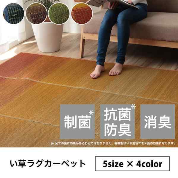 ラグ 小林製薬 持続性抗菌剤 KOBA-GUARD 制菌 抗菌防臭  滑り止め 不織布 夏 い草 グラデーション 約190×190cm