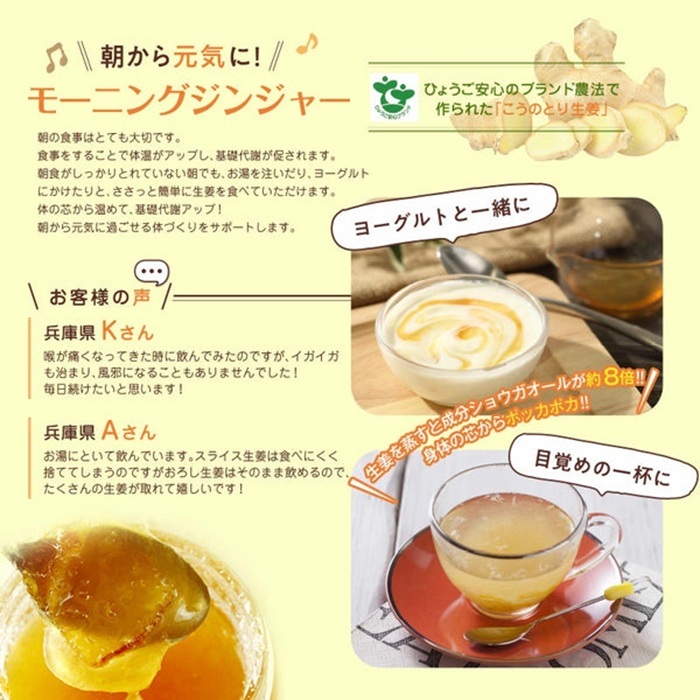 【お徳用】ハチミツおろし生姜レモン500ｇ