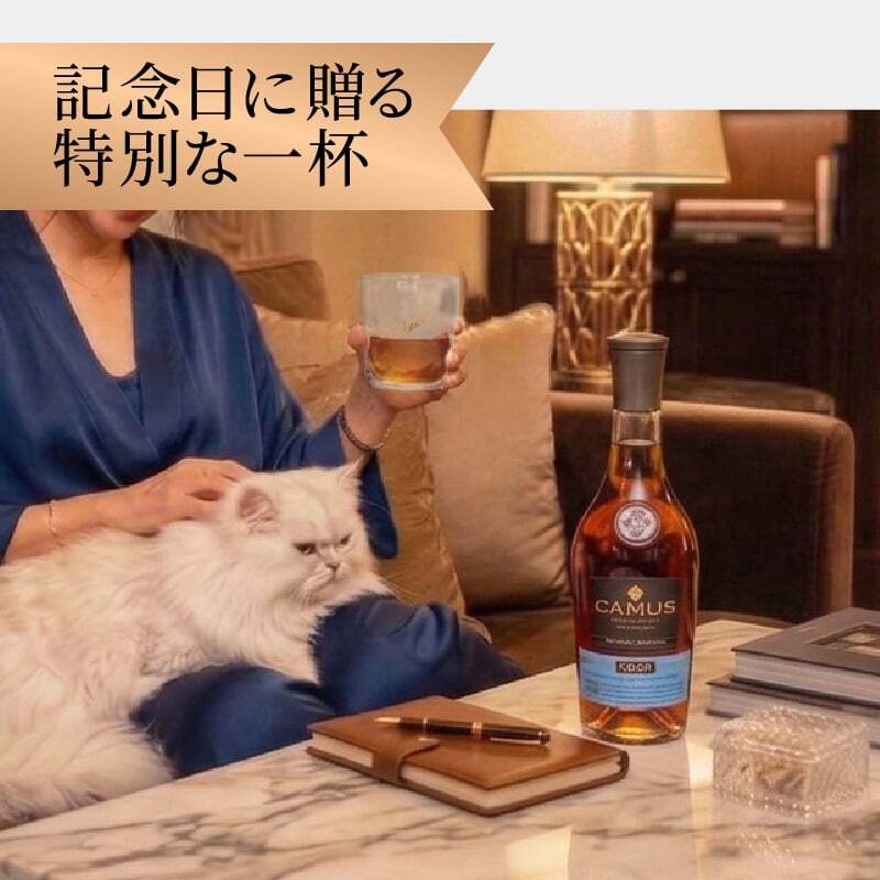 カミュ 名入れ お酒 CAMUS VSOP camus vsop 700ml 40度 新生活 名前入り プレゼント ギフト 面白い センス 定年退職 還暦祝い 退職祝い 男性 女性 お祝い 古希 喜寿 傘寿 米寿 卒寿 白寿 百寿 敬老の日