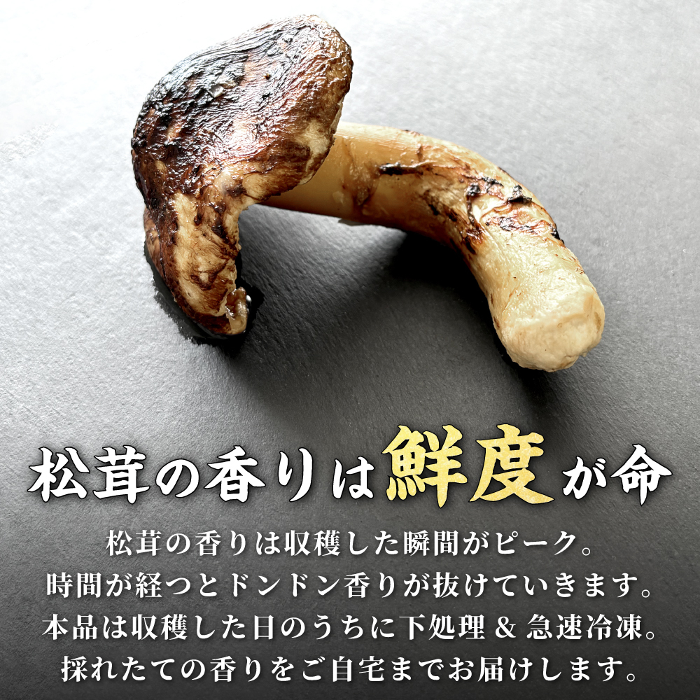 松茸 生松茸 冷凍 開き 500g 1000g 1500g 8-15cmサイズ ホール 洗浄