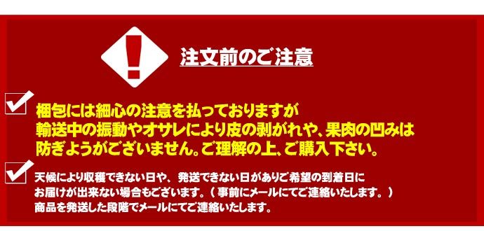 青森りんご 9kg 訳あり 送料無料 福袋 北海道産 青森産 リンゴ ※沖縄は送料別途加算 到着日指定不可