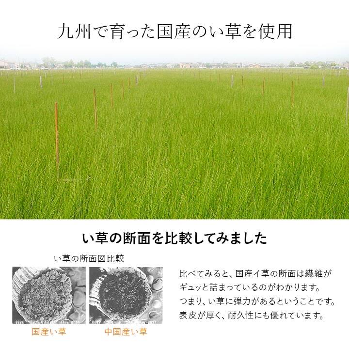 ベッド 寝具 シーツ 敷きパッド 国産 日本製 さらさら 吸汗 調湿 消臭 お手入れ簡単 セミダブル 約110×200cm