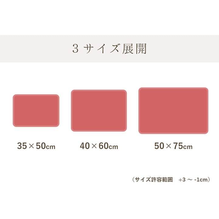 バスマット 速乾 吸水性抜群 タオル地風 さらっと 約35×50cm
